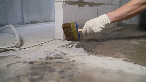 24/7 Emergency Wet Basement Repair experts in Hazel Park, MI